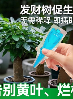 发财树专用肥营养液植物再生黄叶烂根盆栽花剂复合肥料通用型开花