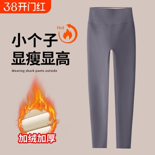 八分小个子鲨鱼皮打底裤女外穿冬季加绒灰色九分瑜伽裤子提臀收腹