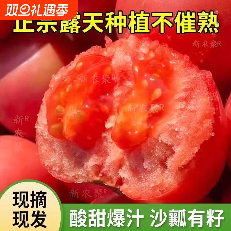 山东普罗旺斯生吃西红柿