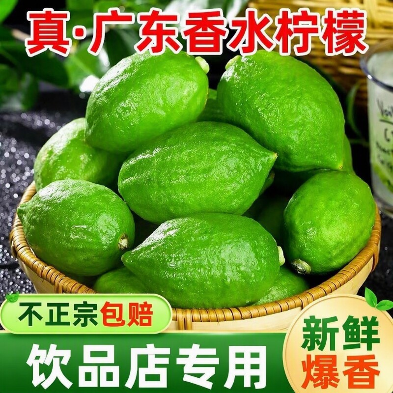 广东香水柠檬特级正宗青柠无籽水果酸果咖啡厅奶茶店专用柠檬新鲜