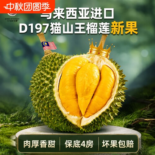 彭亨州马来西亚猫山王榴莲d197
