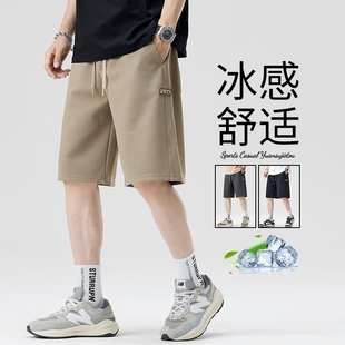 新款 男生运动裤 子大码 男夏季 薄透气直筒宽松休闲五分裤 菠萝格短裤