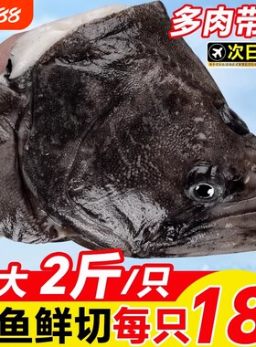 深海鲽鱼整条蝶鱼中段碟鱼新鲜冷冻海水鱼鸦片鱼比目鱼鲜活水产