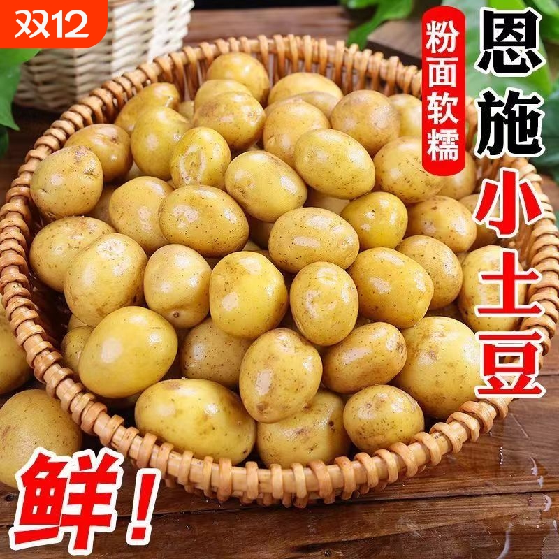 恩施现挖新鲜小土豆农家黄心小个土豆马铃薯洋芋粉糯沙面整箱健康