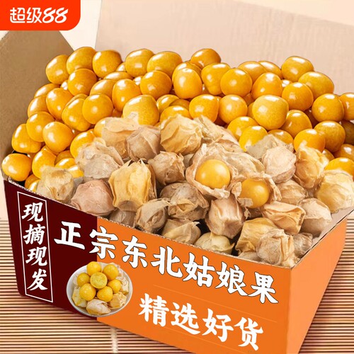 东北姑娘果特产水果新鲜当季整箱灯笼果黄菇娘洋姑娘果大果甜包邮