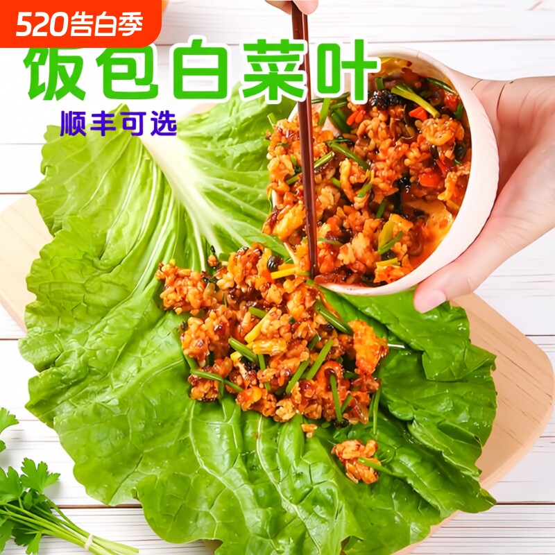 东北饭包白菜叶农家打饭包的大白菜叶新鲜蔬菜蘸酱菜组合送酱