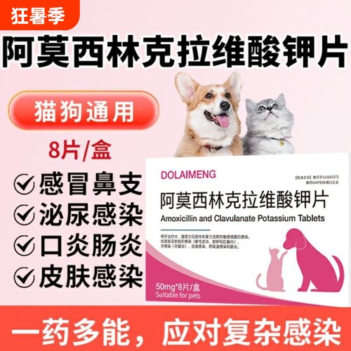 猫咪狗狗感冒药阿莫西林克拉维酸钾片速消炎片猫鼻支诺流鼻涕喷嚏