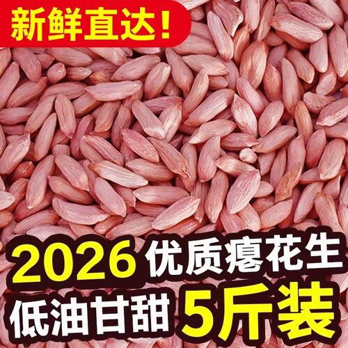 原味花生仁零食|超6000次加购