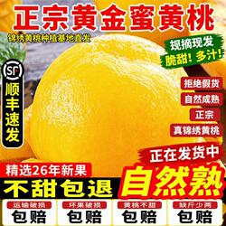 砀山黄桃新鲜水果9斤当季毛桃子整箱黄肉脆蜜桃顺丰包邮现摘黄金