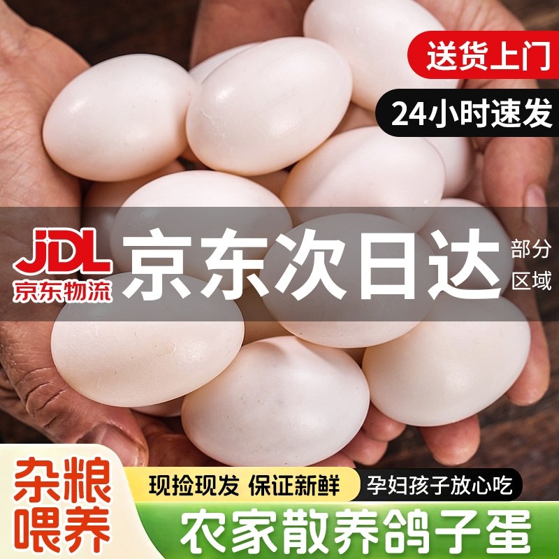 【京东上门】新鲜鸽子蛋30枚纯杂粮散养白鸽蛋孕妇宝宝营养辅食蛋
