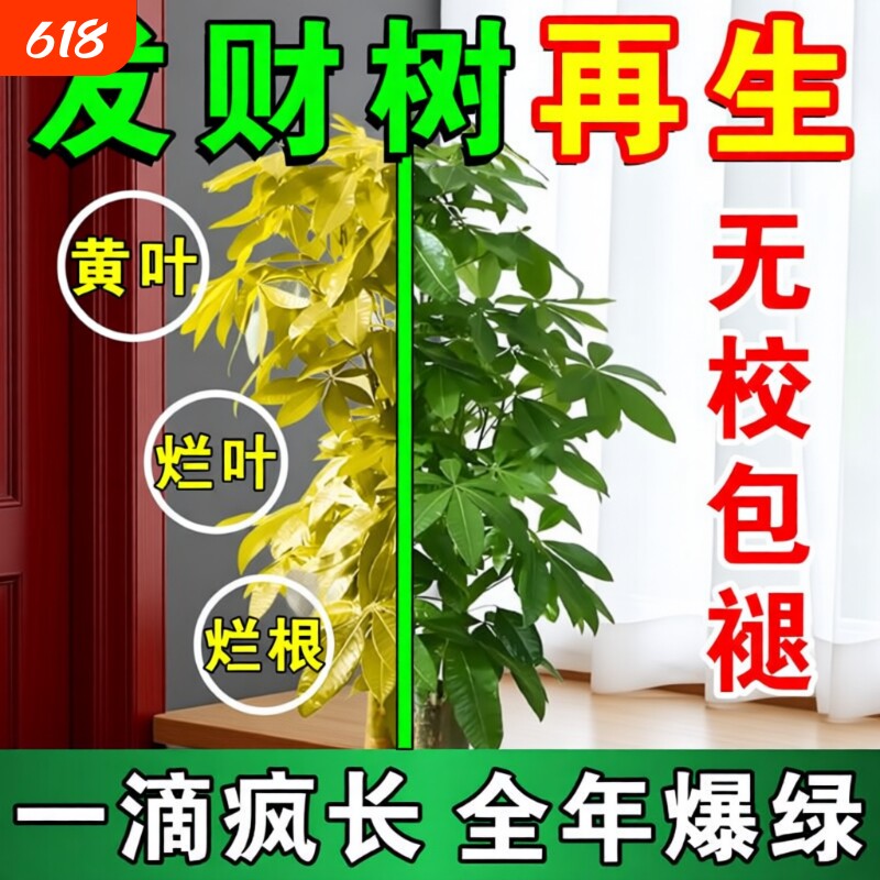 发财树专用营养液肥料专用治叶子发黄掉叶烂根室内盆栽植物通用F