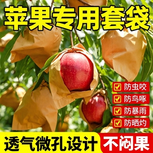 苹果专用套袋纸袋水果防虫防鸟袋保护套防晒防雨果树红富士梨子袋