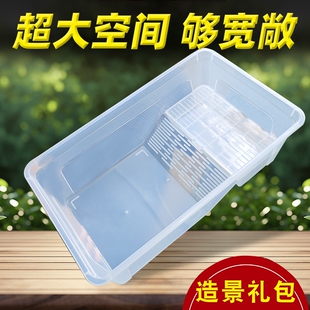 大号乌龟缸带晒台巴西龟龟缸家用饲养箱养龟专用加厚造景生态豪华