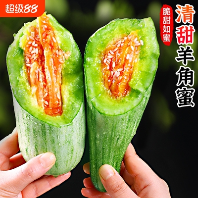 羊角蜜甜瓜5斤！清甜多汁