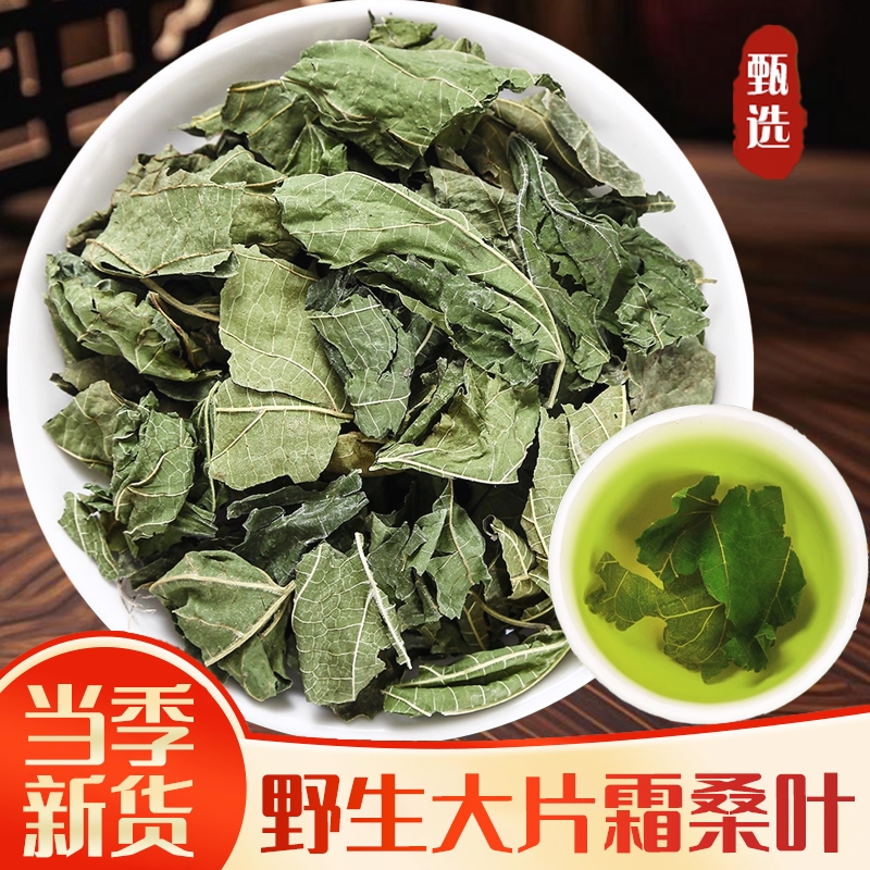 野生霜后桑叶中药材正品深山新鲜干货霜桑树叶霜打老桑叶茶泡水喝