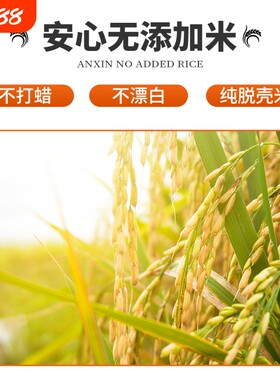 云南芒市遮放小毕朗贡米当季新米10斤香软有嚼劲米饭米业优质现磨