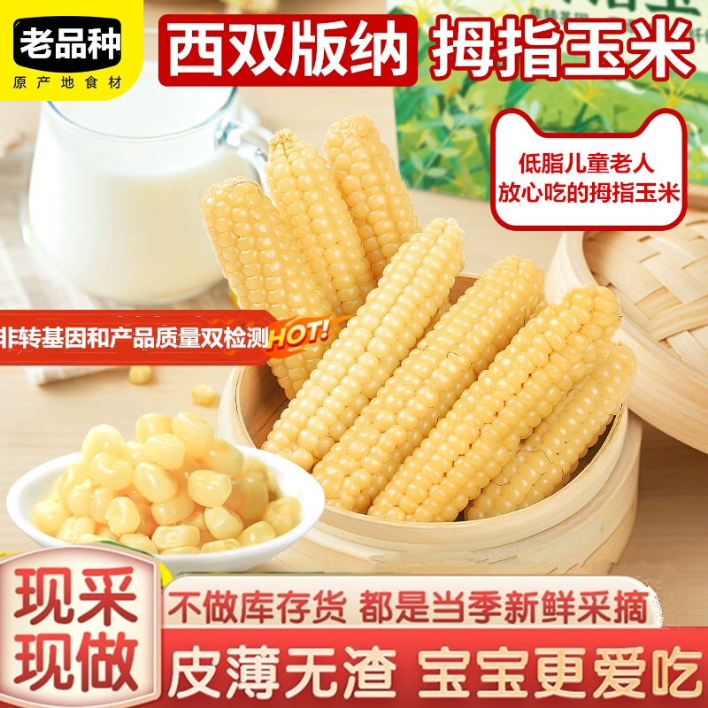 西双版纳香糯拇指小玉米新鲜真空装非转基因拇指玉米云南手指玉米