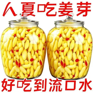 酱倒缸山东枸杞泡姜芽农家糖醋嫩姜芽开胃下饭即食泡菜300g新鲜