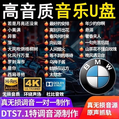 车载歌曲U盘2025新款柏林之声无损高音质抖音u盘DJ高品质音乐新歌