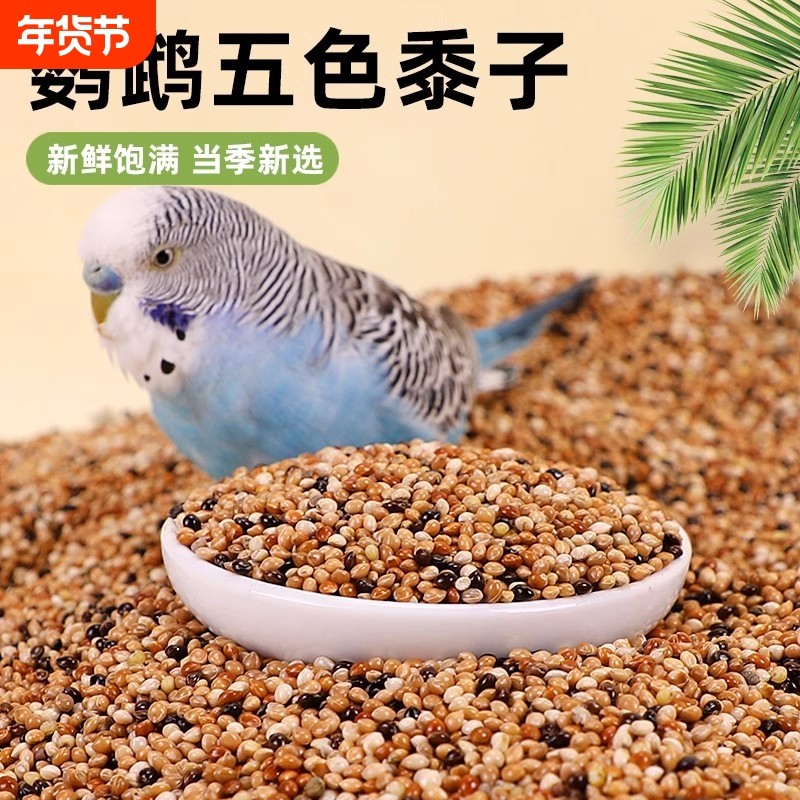 鹦鹉鸟粮饲料虎皮玄凤牡丹鸟食带壳黄谷子五色黍子鸟食混合专用粮