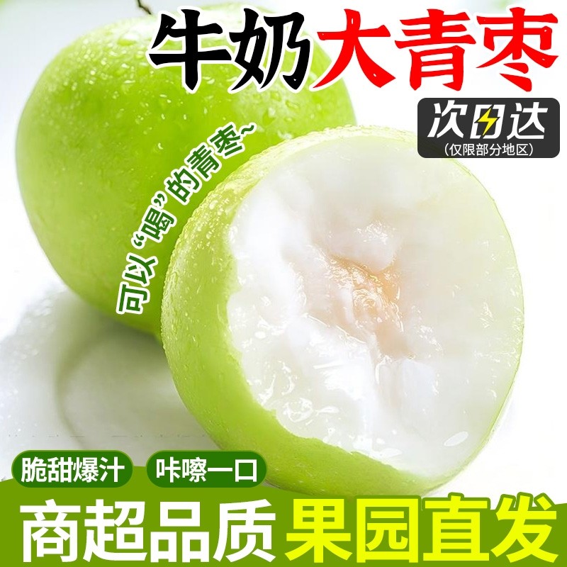 云南牛奶大青枣新鲜现摘5斤水果当季脆甜苹果枣贵妃冬枣整箱包邮,水产肉类/新鲜蔬果/熟食,枣,淘宝优惠券,粉丝福利购,淘宝优惠卷