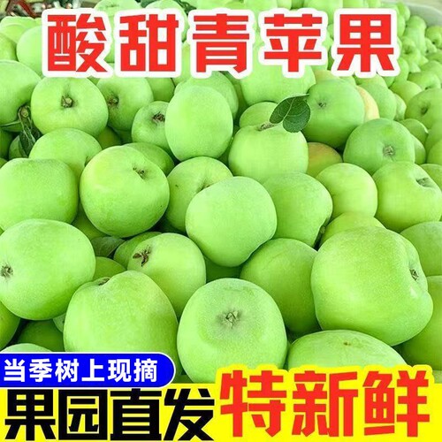 陕西青苹果水果当季新鲜苹果酸脆甜现摘嘎啦小苹果整箱9斤包邮