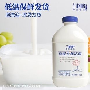 兰格格大瓶草原酸奶1kg大桶装 风味发酵乳蒙古营养早餐原味低温