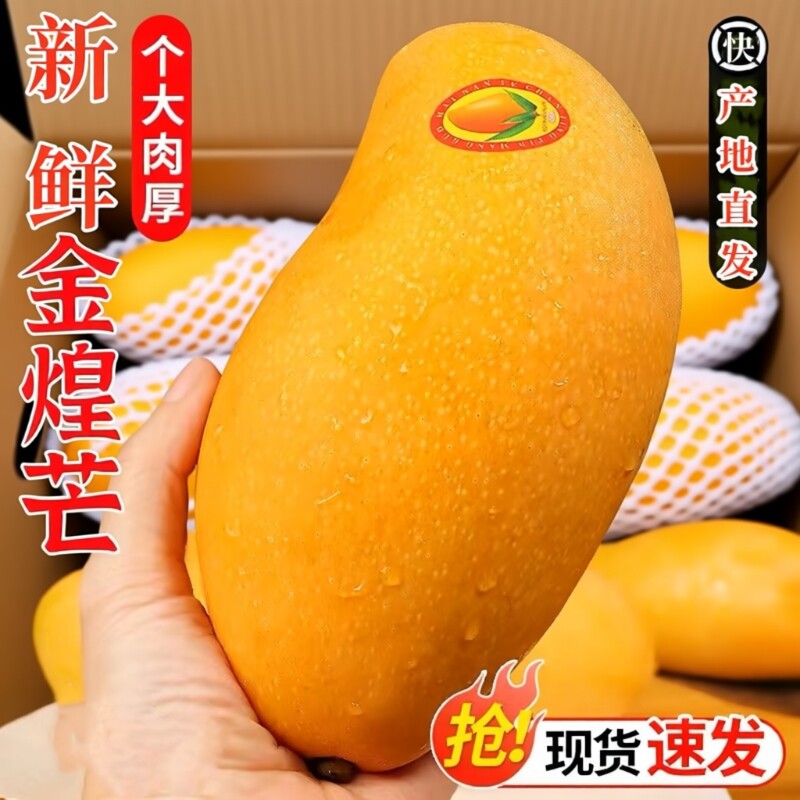 海南金煌芒果整箱9斤包邮新鲜现摘当季热带水果皮薄核小甜蜜多汁5