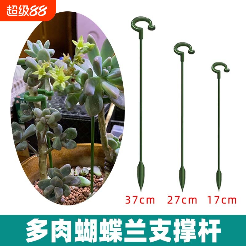 多肉支撑架吊兰多肉支撑杆固定蝴蝶兰花架支撑杆盆栽防倒伏造型