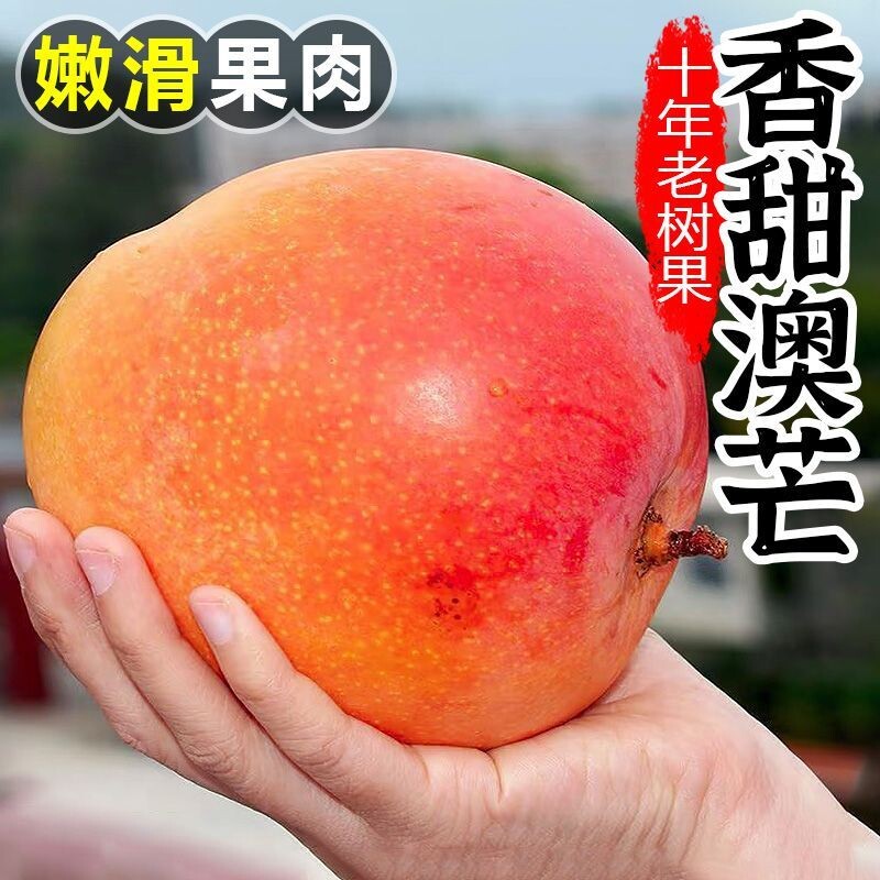 正宗澳芒彩虹芒果纯甜新鲜水果大果凯特芒果苹果芒香甜Q滑肉厚