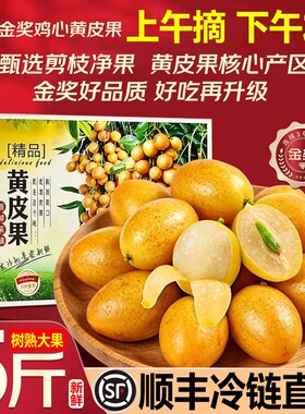 广东郁南黄皮果新鲜当季现摘现发