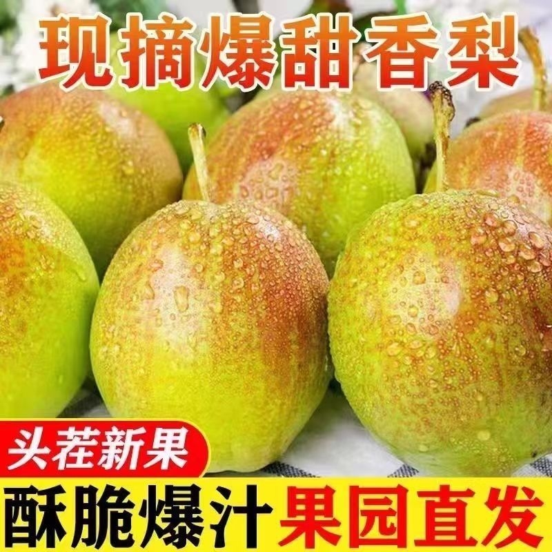 【爆甜无渣】新鲜水果梨子脆甜红香酥梨孕妇香梨一整箱爆甜包邮