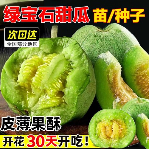 绿宝石甜瓜种籽大全春季羊角蜜种子正品四季蔬菜种孑香瓜种籽秧苗