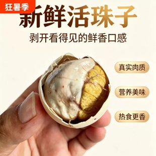 正宗新鲜粉壳活珠子13天即食香辣味五香味鸡胚蛋熟新鲜土鸡蛋