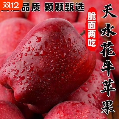 甘肃天水花牛苹果水果新鲜整箱当季脆甜糯苹果沙甜高原下单香甜