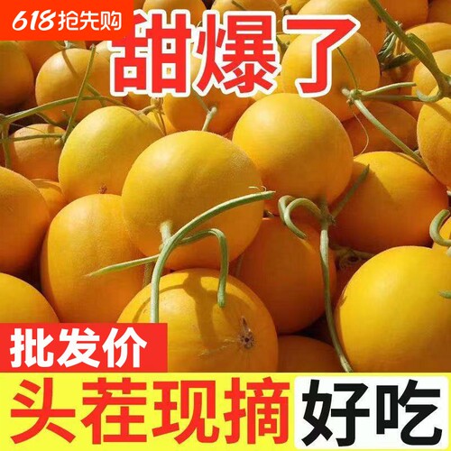 陕西阎良黄河蜜甜瓜当季新鲜水果黄金蜜瓜脆甜香瓜正宗整箱9斤