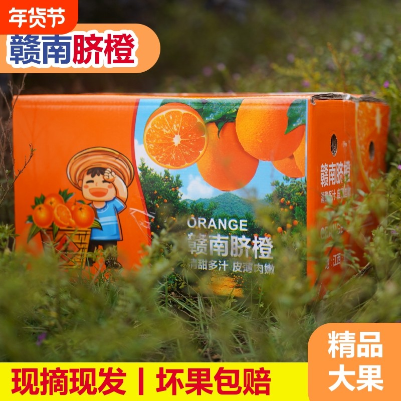 【新鲜采摘】正宗赣南脐橙江西橙子大果薄皮整箱当季水果产地直发