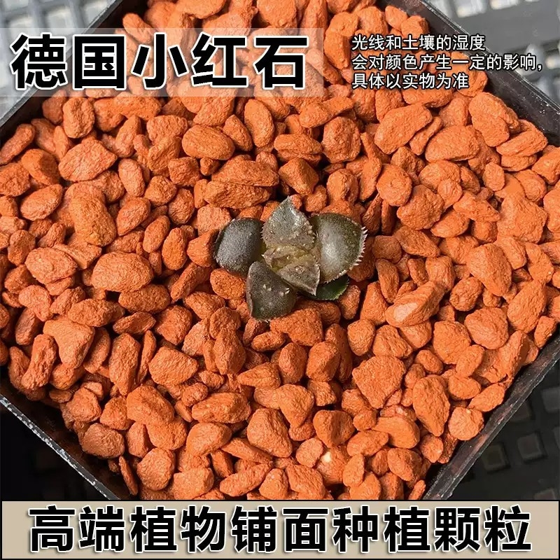 德国小红石丹彩霞高端植物通用土种植铺面热植兰花盆栽造景颗粒土