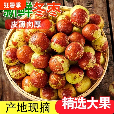 正宗陕西大荔新鲜冬枣甜脆枣青枣