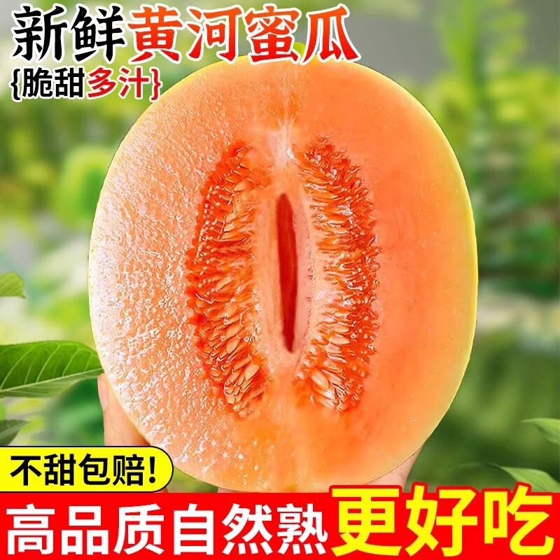 正宗黄河蜜瓜甜瓜新鲜水果当季整箱沙漠黄金脆香瓜哈密瓜勤民蜜瓜