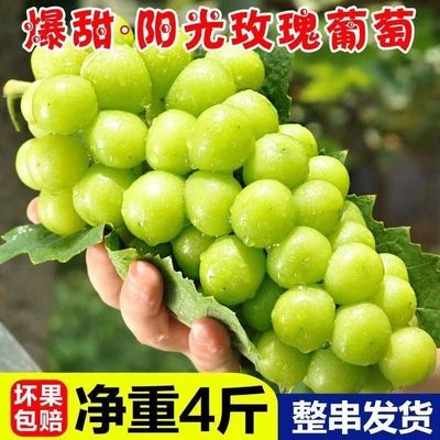 阳光玫瑰葡萄4斤礼盒装无籽葡萄新鲜当季水果晴王香印青提子整箱