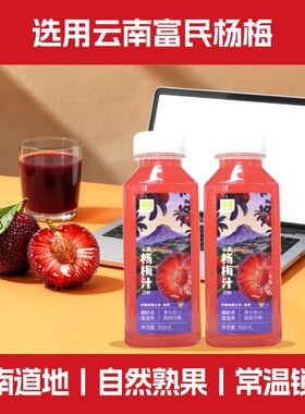 玉丹杨梅汁饮料300ml*4瓶分享装