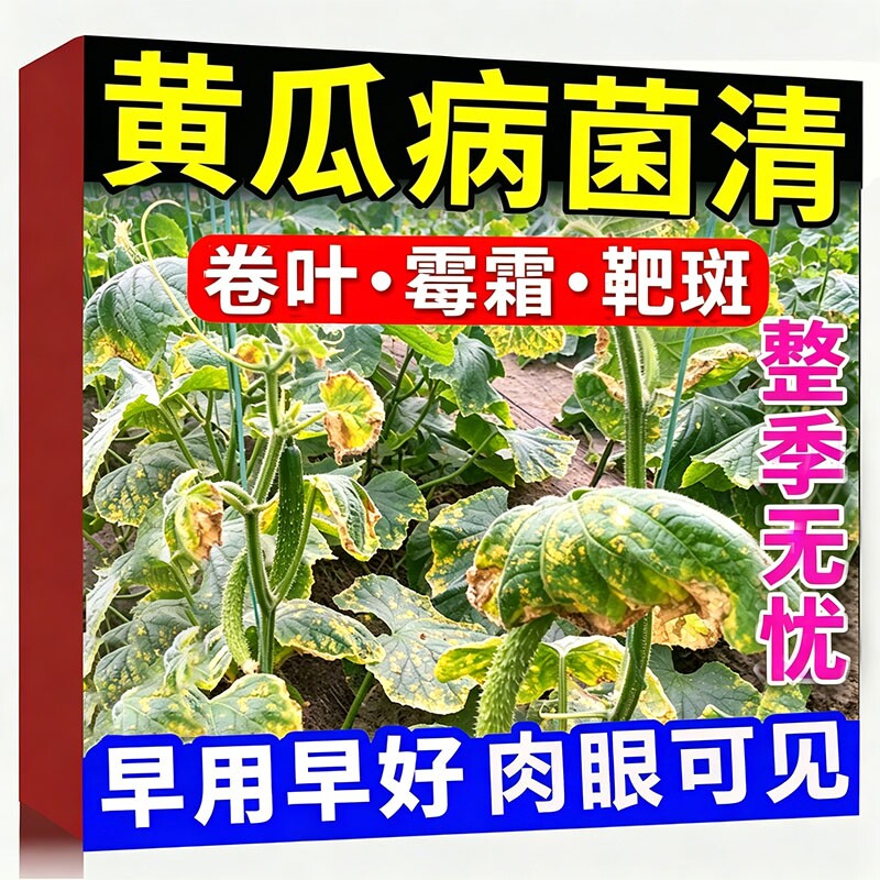 黄瓜病害清治疗黄瓜杀虫白粉靶斑黄点病毒病专用杀菌剂全治叶面肥