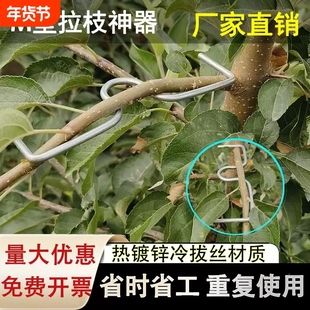 果树拉枝器定型器花卉月季压弯开角别枝神器苹果樱桃树m型拉枝器
