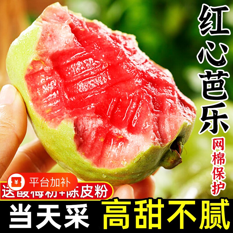 红心芭乐果新鲜水果包邮应季时令胭脂红巴乐整箱番石榴生鲜鲜果