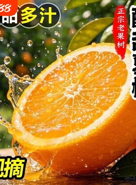 夏橙鲜橙多汁秭归当季新鲜正宗薄皮水果孕妇商超批发甜橙整箱现摘