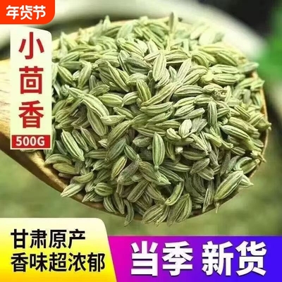 甘肃玉门民勤小茴香颗粒包邮500g小回香籽干调料香辛料调味料孜然
