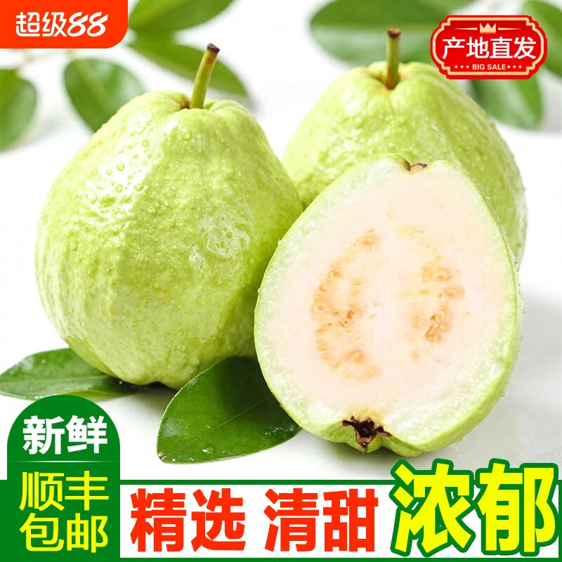 增城特产白心芭乐番石榴新鲜脆甜孕妇应季低脂水果珍珠奶油芭乐