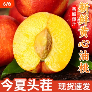 【2026新果】头茬黄心油桃新鲜应季水果麻脸黄肉桃子脆甜整箱包邮
