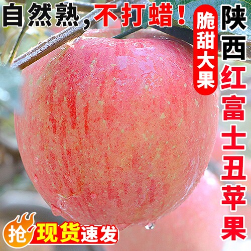陕西红富士苹果高山丑苹果脆甜